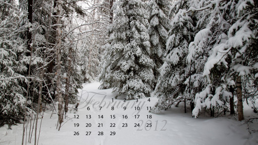 606886 (a): :2560x1440